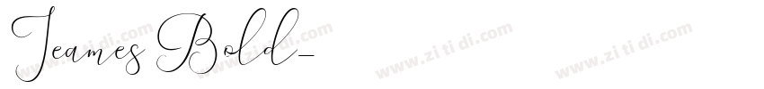 Jeames Bold字体转换